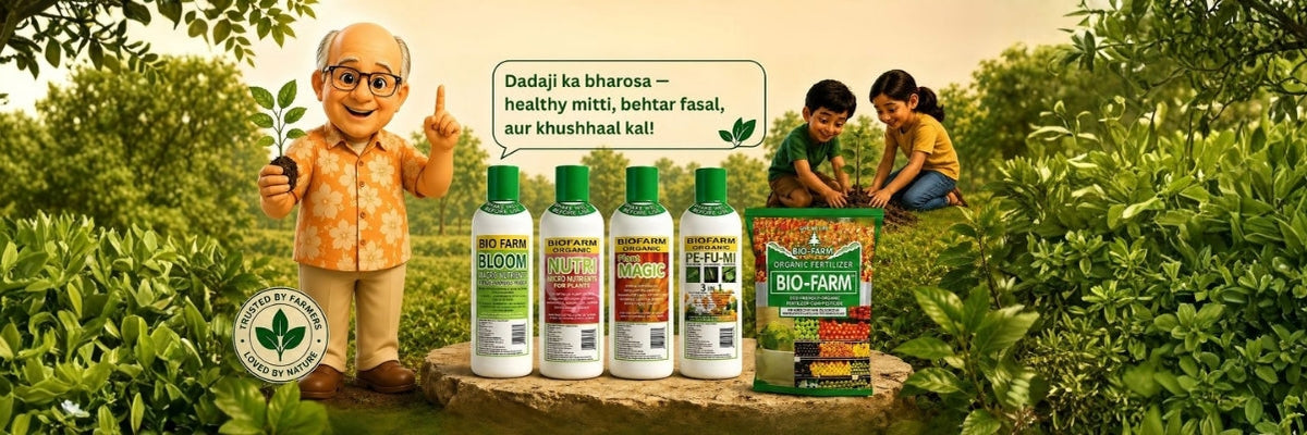 Bio Fertilizers