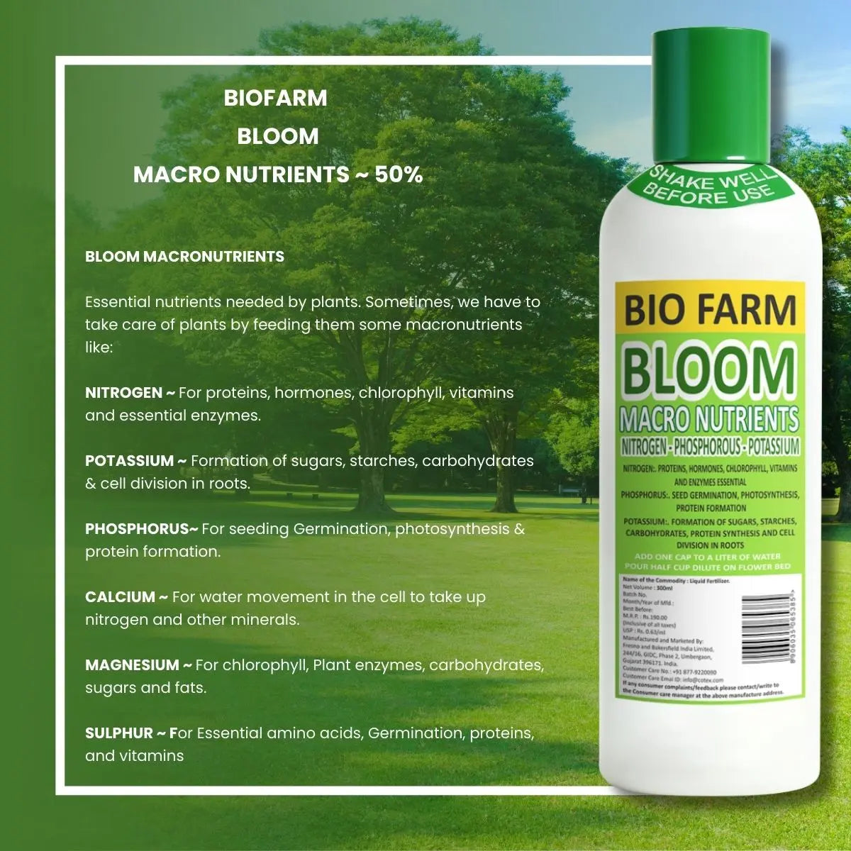 BioFarm Bloom (Pack of 12) BioFarm