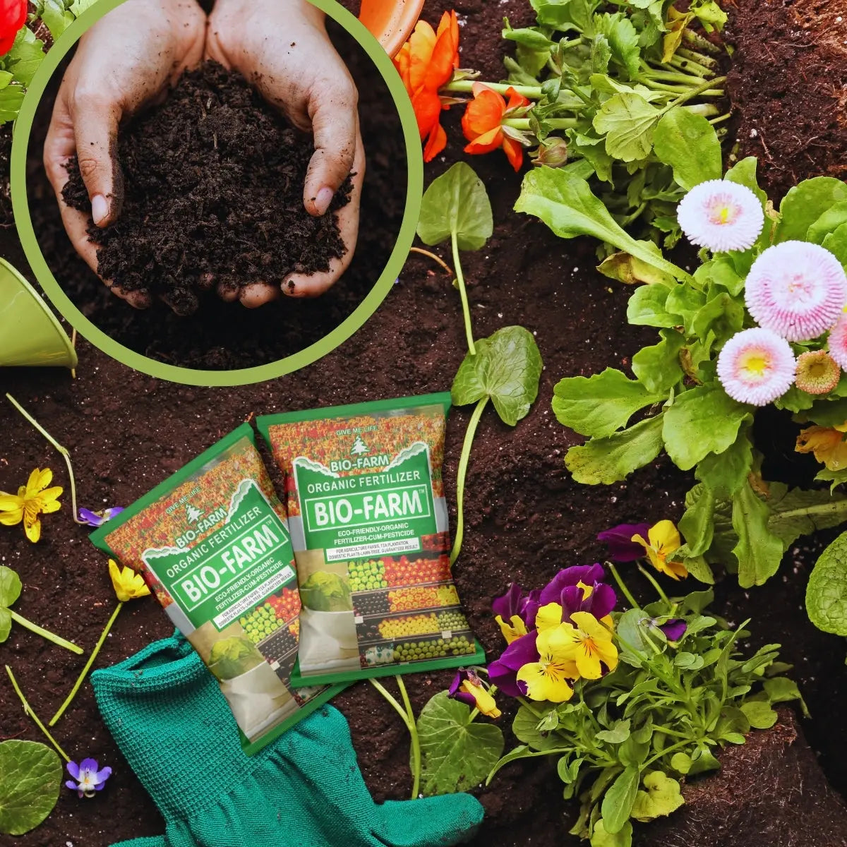 BioFarm Organic Fertilizer BioFarm